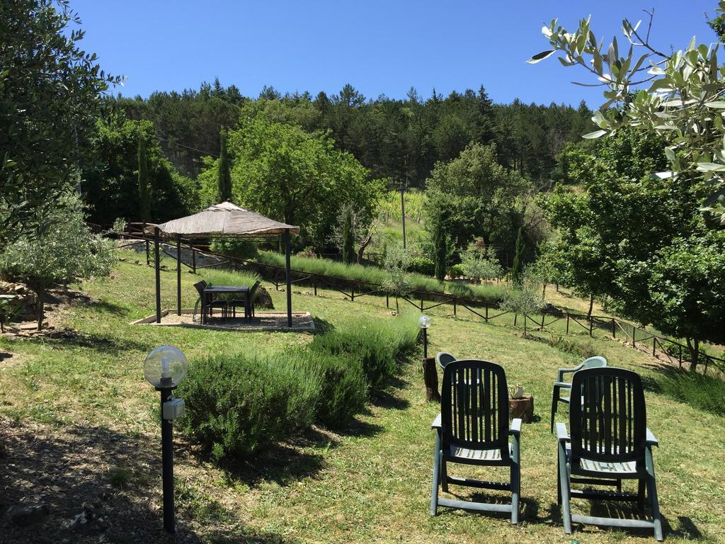 Casa Cinzia Apartment Castellina in Chianti Room photo